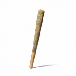Pré-Roulé Bubba Kush...