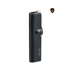 Briquet Tempête Vector...