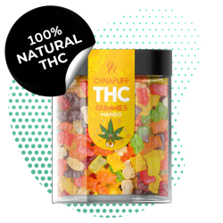 THC Gummies Mangue 🥭 –...