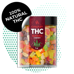 THC Gummies Cerise 🍒 –...